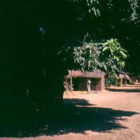 1-le-0-foto-1-mufunga-dorp-zicht-op-hutten-met-mangobomen-wijk-kabela.jpg