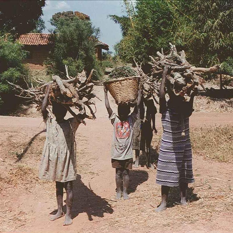 2-le-a-foto-1-te-voet-kinderen-transport-brandhout-en-maniokbladeren.JPG